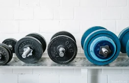 фитнес-клуб zebragym  на проекте lovefit.ru