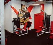 тренажерный зал volt изображение 5 на проекте lovefit.ru