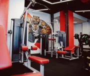 тренажерный зал volt изображение 1 на проекте lovefit.ru